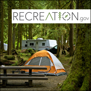 Recreation.gov. A camping site in the woods with a tent and RV